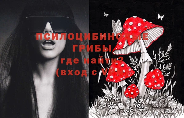 PSILOCYBIN Козельск