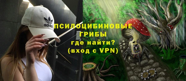 PSILOCYBIN Козельск